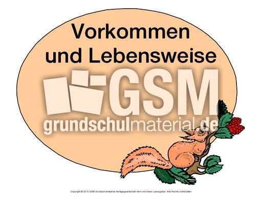 Mindmap-Eichhörnchen-3.pdf